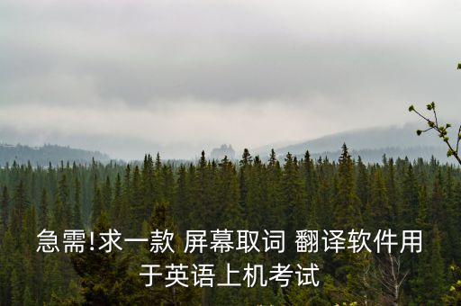 急需!求一款 屏幕取詞 翻譯軟件用于英語上機考試