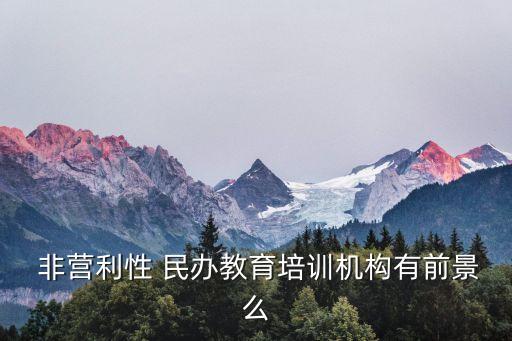  非營(yíng)利性 民辦教育培訓(xùn)機(jī)構(gòu)有前景么
