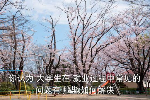 大學(xué)生就業(yè)問題