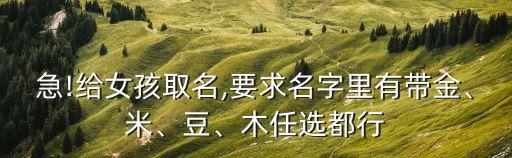 張金金