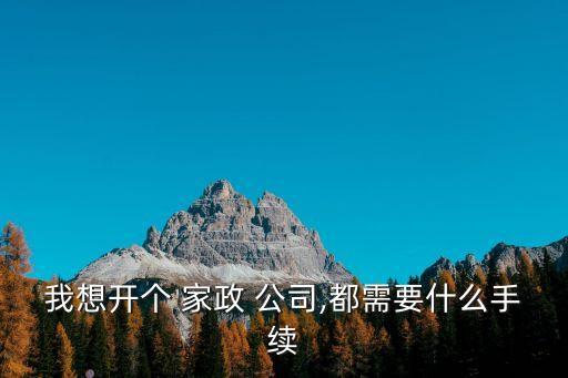 我想開個 家政 公司,都需要什么手續(xù)