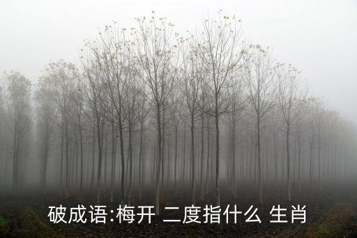 破成語:梅開 二度指什么 生肖