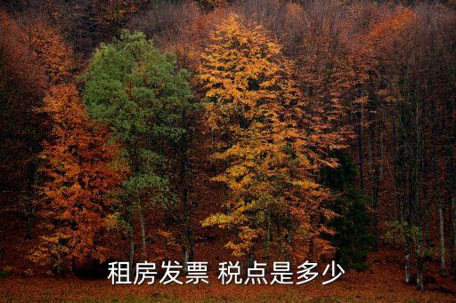 房屋租賃稅點(diǎn),個(gè)人房屋租賃稅點(diǎn)