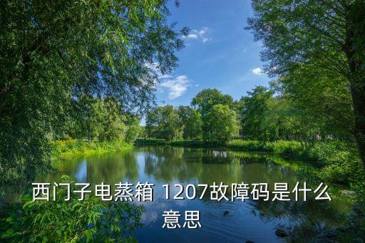 1207什么意思,違法代碼1207什么意思