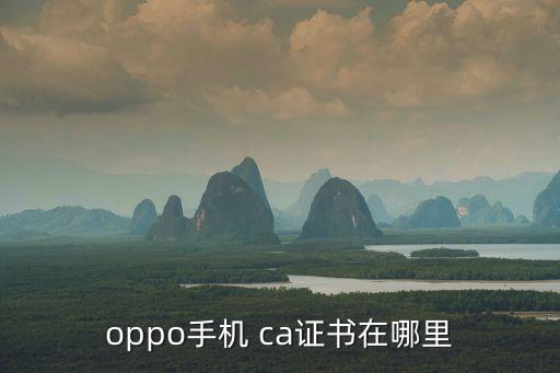 oppo手機(jī) ca證書在哪里