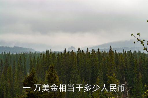 一 萬美金相當(dāng)于多少人民幣