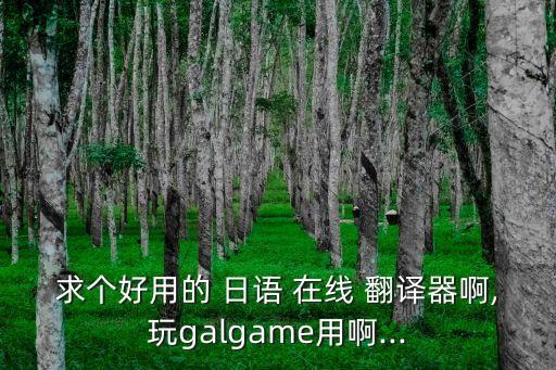 求個(gè)好用的 日語 在線 翻譯器啊,玩galgame用啊...
