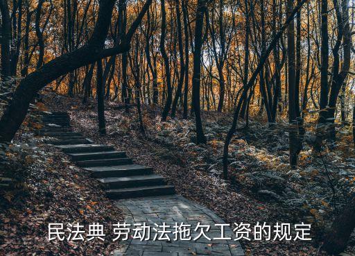 民法典關(guān)于勞動報酬的規(guī)定,追索勞動報酬法律依據(jù)民法典