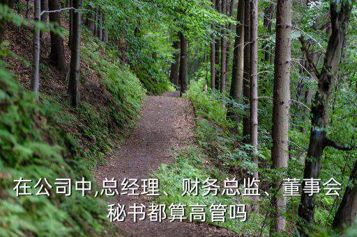 監(jiān)事一般月薪多少,公司欠錢監(jiān)事會不會有牽連