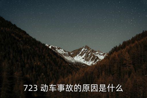 723 動車事故的原因是什么