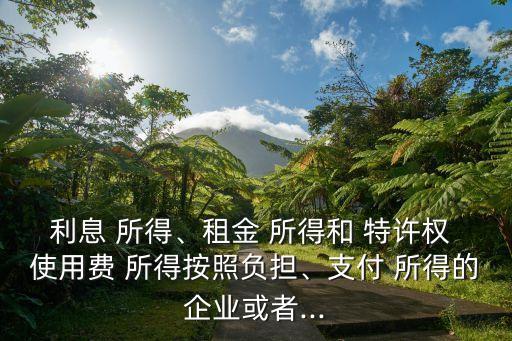 特許權(quán)使用費(fèi)所得