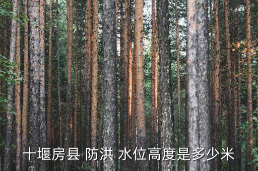 十堰房縣 防洪 水位高度是多少米