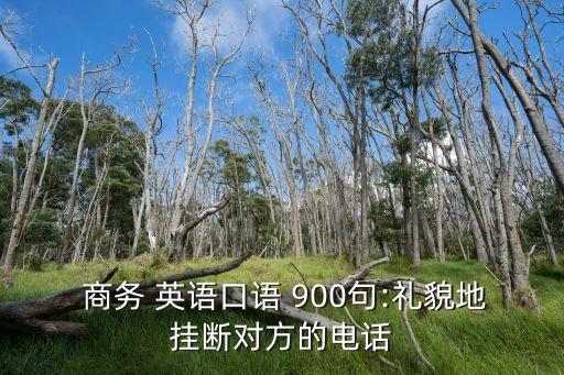  商務(wù) 英語口語 900句:禮貌地掛斷對方的電話