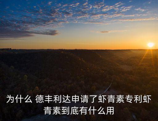 德豐利達(dá)