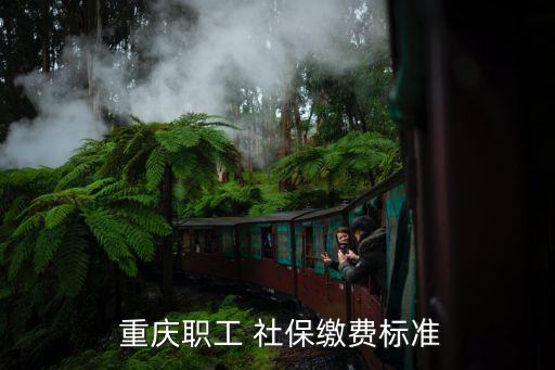  重慶職工 社保繳費標準