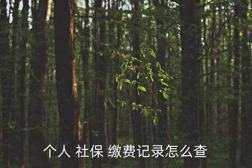 個人 社保 繳費記錄怎么查
