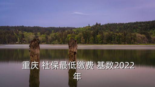 重慶社?；鶖?shù)