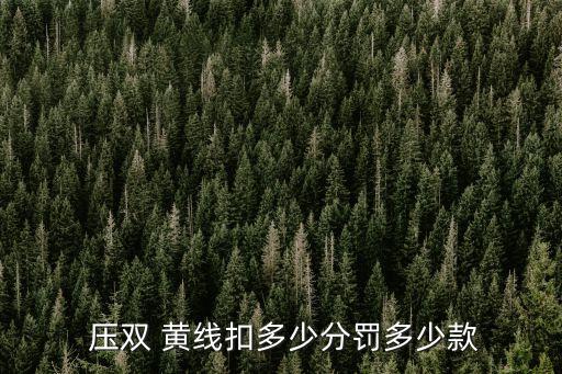  壓雙 黃線扣多少分罰多少款