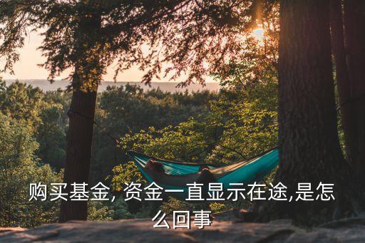 購買基金, 資金一直顯示在途,是怎么回事