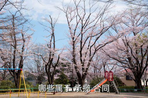 哪些屬于 承攬 合同