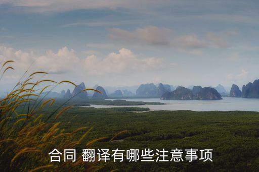 商務(wù)合同翻譯方法和翻譯策略