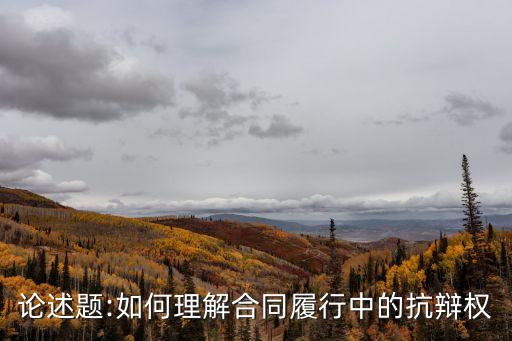 論述題:如何理解合同履行中的抗辯權(quán)