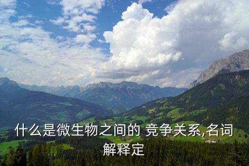 競(jìng)爭(zhēng)關(guān)系