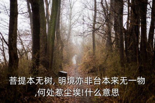 菩提本無樹, 明境亦非臺本來無一物,何處惹塵埃!什么意思