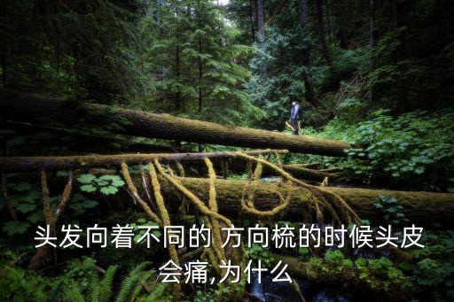 逆方向撥動(dòng)頭發(fā)發(fā)根痛