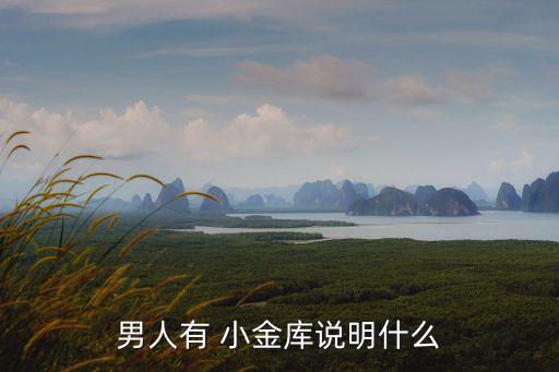 小金庫是什么意思,辦理京東小金庫是什么意思