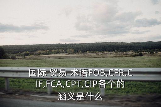 國(guó)際 貿(mào)易 術(shù)語(yǔ)FOB,CFR,CIF,FCA,CPT,CIP各個(gè)的涵義是什么