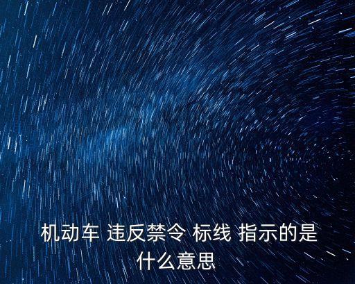  機(jī)動(dòng)車 違反禁令 標(biāo)線 指示的是什么意思