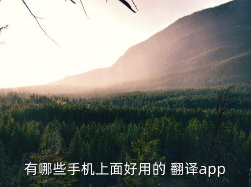 中英文翻譯軟件免費版