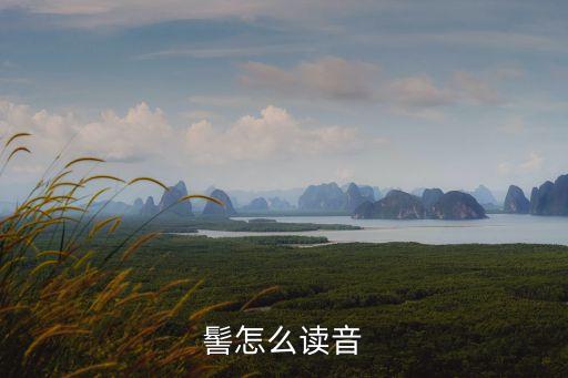 袁大海