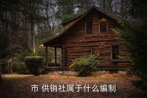 市 供銷社屬于什么編制