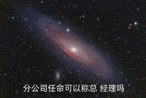  分公司任命可以稱總 經(jīng)理嗎