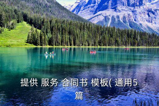 咨詢服務(wù)合同模板通用版,信息技術(shù)咨詢服務(wù)合同模板