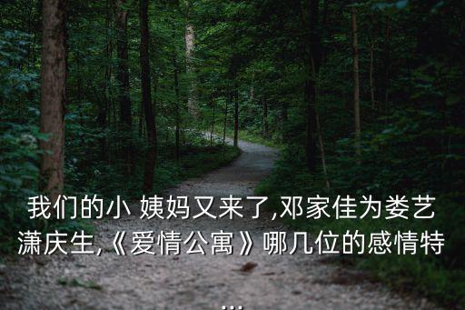 我的小姨媽,你是我的女人中文字幕高清