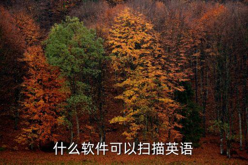 什么軟件可以掃描英語