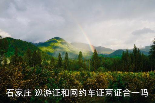 石家莊 巡游證和網(wǎng)約車證兩證合一嗎