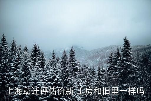 新工房