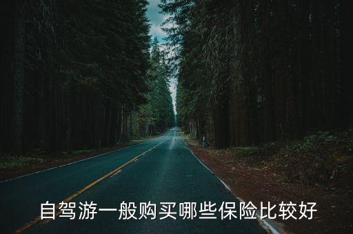  自駕游一般購買哪些保險(xiǎn)比較好