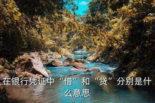 在銀行憑證中“借”和“貸”分別是什么意思