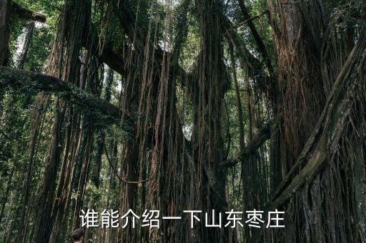 誰(shuí)能介紹一下山東棗莊