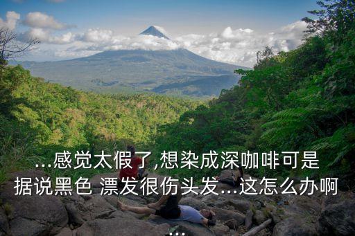 ...感覺太假了,想染成深咖啡可是據(jù)說黑色 漂發(fā)很傷頭發(fā)…這怎么辦啊...