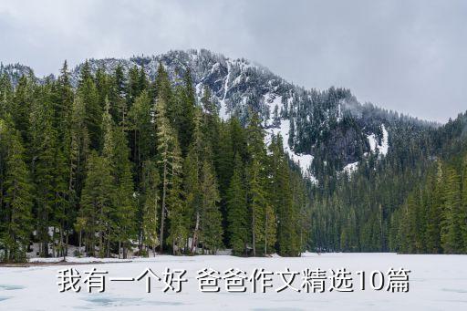我有一個好 爸爸作文精選10篇