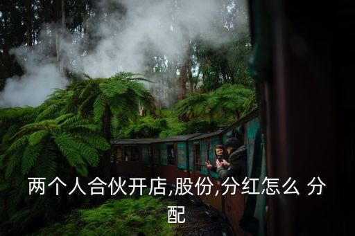 二人合伙人股權分配方案,股權變更代辦費用500