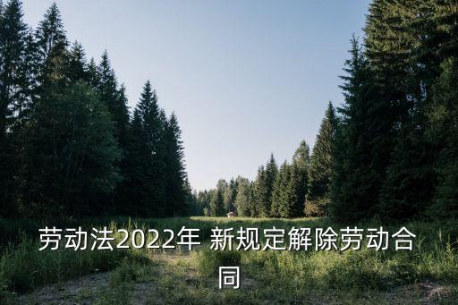 勞動(dòng)法2022年 新規(guī)定解除勞動(dòng)合同