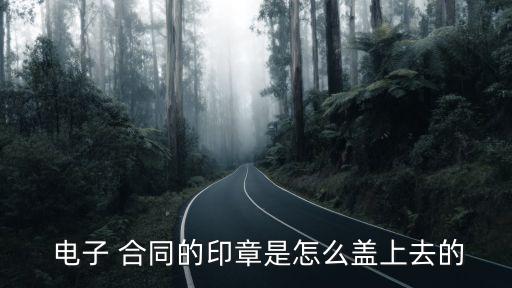  電子 合同的印章是怎么蓋上去的