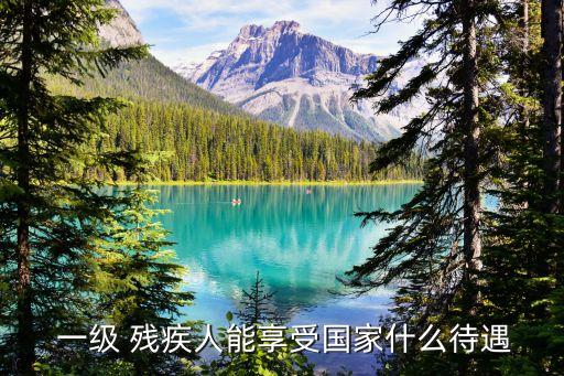  一級(jí) 殘疾人能享受國(guó)家什么待遇